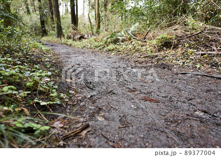 土・泥・小道・獣道・森・森林・ローアングル・アップ・ぬかるみ 89377004