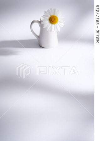 マーガレット　花の背景素材 89377326