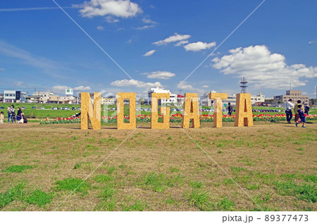 福岡県直方市の遠賀川河川敷のチューリップフェア 福岡県直方市の遠賀川河川敷のチューリップフェア 89377473