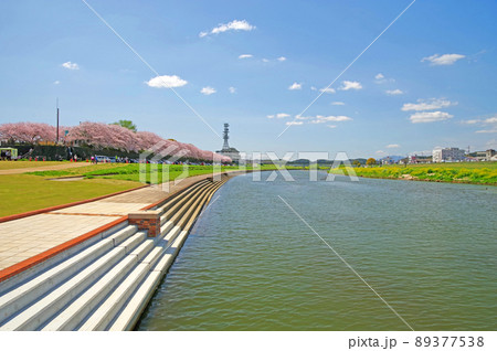 福岡県直方市の遠賀川河川敷の桜並木と青空の風景 福岡県直方市の遠賀川河川敷の桜並木と青空の風景 89377538