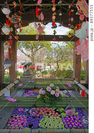 花手水やさげもんで美しく飾られた手水舎 89377555