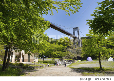 神奈川県立　秦野戸川公園 89378703