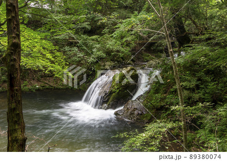 緑いっぱいの景色 緑いっぱいの景色 89380074