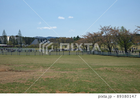 ひるがの高原 牧場 ひるがの高原 牧場 89380147