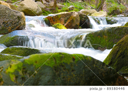 Cold water flows over the stones of green moss in the forest. Cold water flows over the stones of green moss in the forest. 89380446
