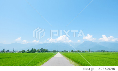 夏の田園風景 89380696