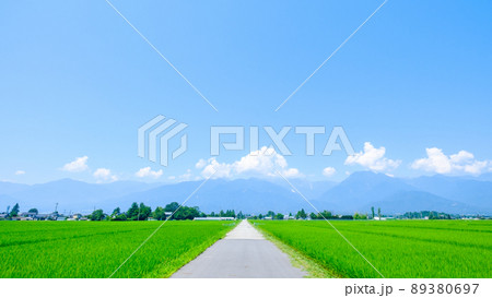 夏の田園風景 89380697