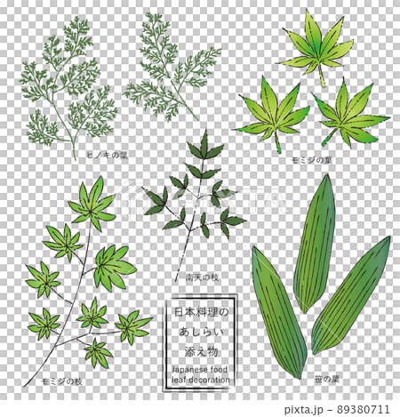 Japanese cuisine leaves color green Japanese cuisine leaves color green 89380711