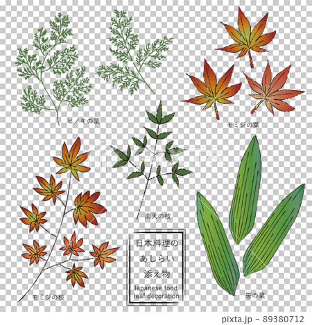 Japanese cuisine leaves with colored autumn leaves 89380712