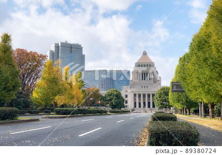 国会議事堂と紅葉したイチョウ並木 国会議事堂と紅葉したイチョウ並木 89380724