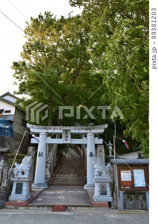 春の夕方の住吉神社 熊本 春の夕方の住吉神社 熊本 89381203