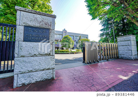 筑波大学附属駒場中学校・高等学校 89381446