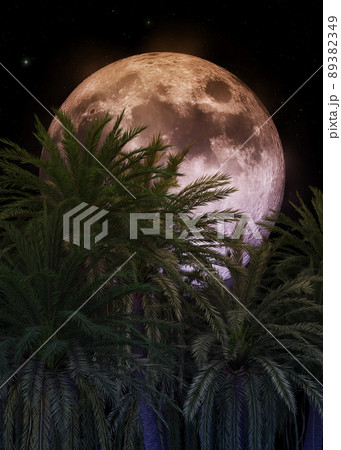 3D Palm trees and full moon 89382349