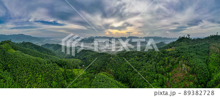 Panorama and aerial view of Doi Tapang show fog or mist cover some part of area with sunrise light. 89382728