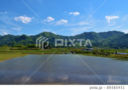 南阿蘇の田園風景 熊本 南阿蘇の田園風景 熊本 89383431