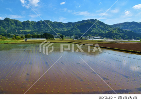 春の南阿蘇の田園風景　熊本 89383638