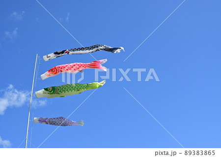 悠然と泳ぐ鯉のぼり 89383865