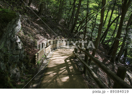 徳島県三好市 奥祖谷二重かずら橋 遊歩道 徳島県三好市 奥祖谷二重かずら橋 遊歩道 89384019