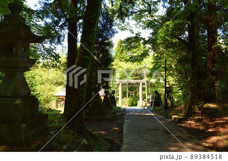 春の上色見熊野座神社 熊本 春の上色見熊野座神社 熊本 89384518