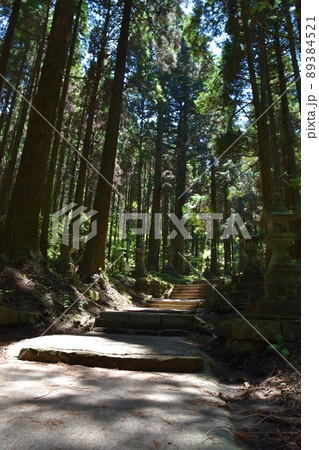 春の上色見熊野座神社 熊本 春の上色見熊野座神社 熊本 89384521