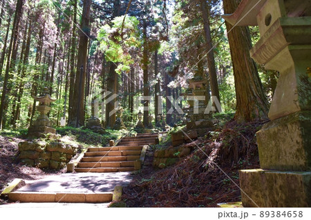 春の上色見熊野座神社 熊本 春の上色見熊野座神社 熊本 89384658