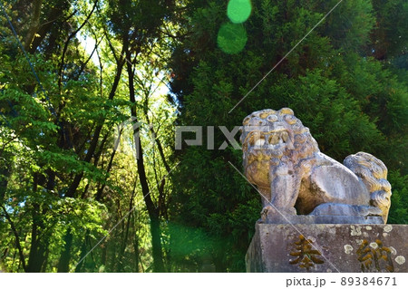 春の上色見熊野座神社の狛犬 熊本 春の上色見熊野座神社の狛犬 熊本 89384671