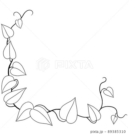 Simplicity ivy freehand drawing flat design. 89385310