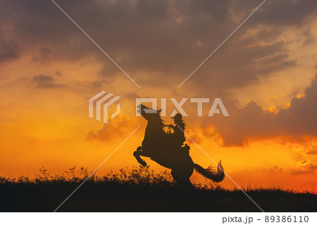 A cowboy on a horse springing up and a riding horse silhouetted against the sunset 89386110
