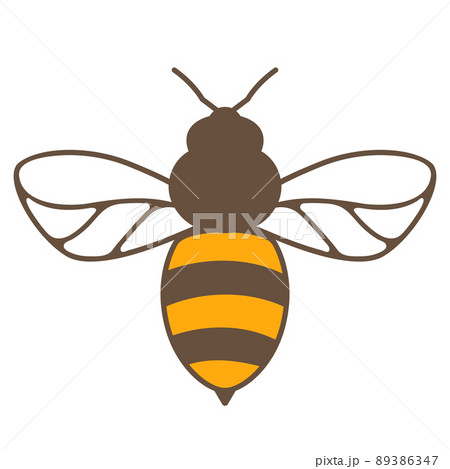 Illustration of honey bee. Image for food and agricultural industry. 89386347