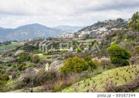Traditional Cyprus landscape with vine field, mountains and village on hillside Traditional Cyprus landscape with vine field, mountains and village on hillside 89387344