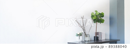 Banner composition with vases, dried flowers, books and a lyre-shaped ficus plant with green leaves. Part of the interior, perfect order in the house. High quality photo 89388040