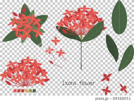 花 フラワー お花 89388051