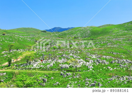【山口県】新緑の秋吉台(カルスト地形) 【山口県】新緑の秋吉台(カルスト地形) 89388161