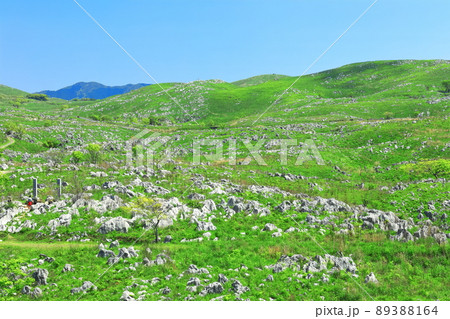【山口県】新緑の秋吉台(カルスト地形) 【山口県】新緑の秋吉台(カルスト地形) 89388164