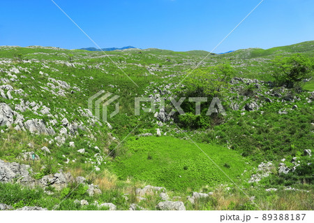 【山口県】新緑の秋吉台(カルスト地形) 【山口県】新緑の秋吉台(カルスト地形) 89388187