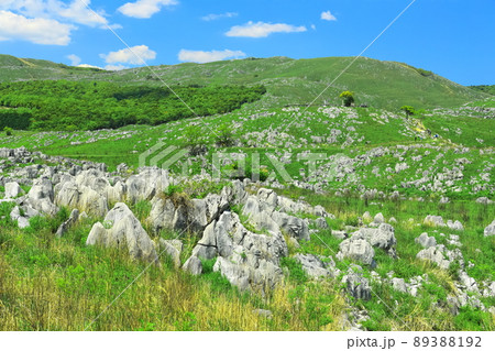 【山口県】新緑の秋吉台（カルスト地形） 89388192
