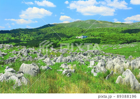 【山口県】新緑の秋吉台（カルスト地形） 89388196