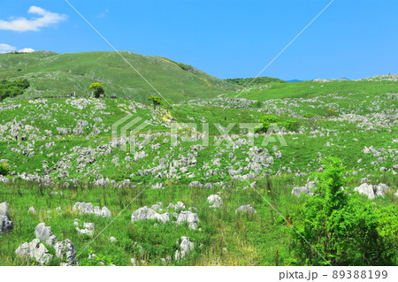 【山口県】新緑の秋吉台(カルスト地形) 【山口県】新緑の秋吉台(カルスト地形) 89388199