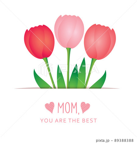 greeting card for mothers day with pink tulip greeting card for mothers day with pink tulip 89388388