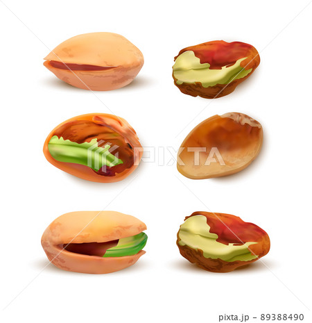 Realistic Detailed 3d Different Pistachios Set Nutshell and Kernel. Vector illustration of Ripe Pistachio Nut 89388490