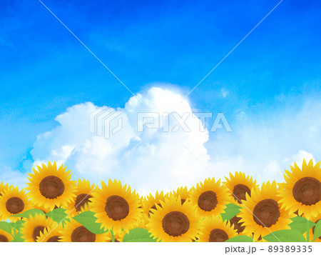 ひまわり 夏 イメージ背景素材のイラスト素材 3335