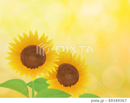 ひまわり　夏　イメージ背景素材 89389367