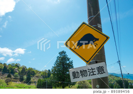 動物注意の看板　イノシシ 89389456