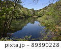 六甲山系川瀬池 89390228