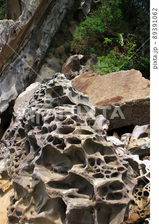 竜串 竜串 89391062