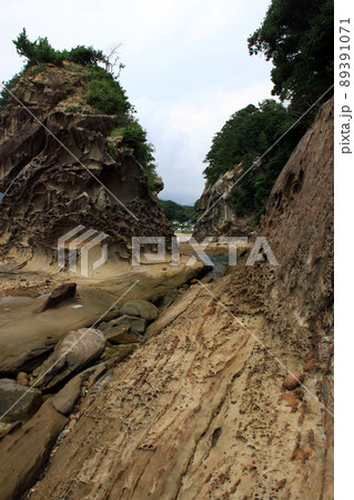 竜串 竜串 89391071