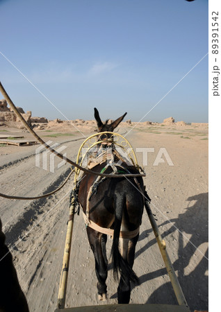 シルクロード　中国　新疆ウイグル自治区　トルファン　高昌故城　ロバ車風景, 景色、青空, 晴れ, 快 89391542