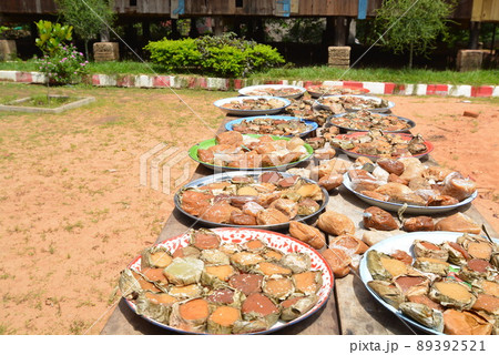 カンボジア 89392521