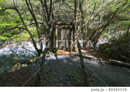 徳島県三好市　奥祖谷二重かずら橋　女橋 89393539