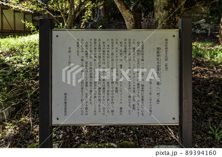 粟鹿神社　随身門　木造着色狛犬像　兵庫県朝来市 89394160